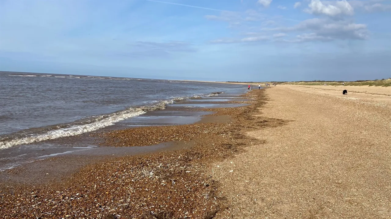 Manor Road, Hunstanton, photo 9