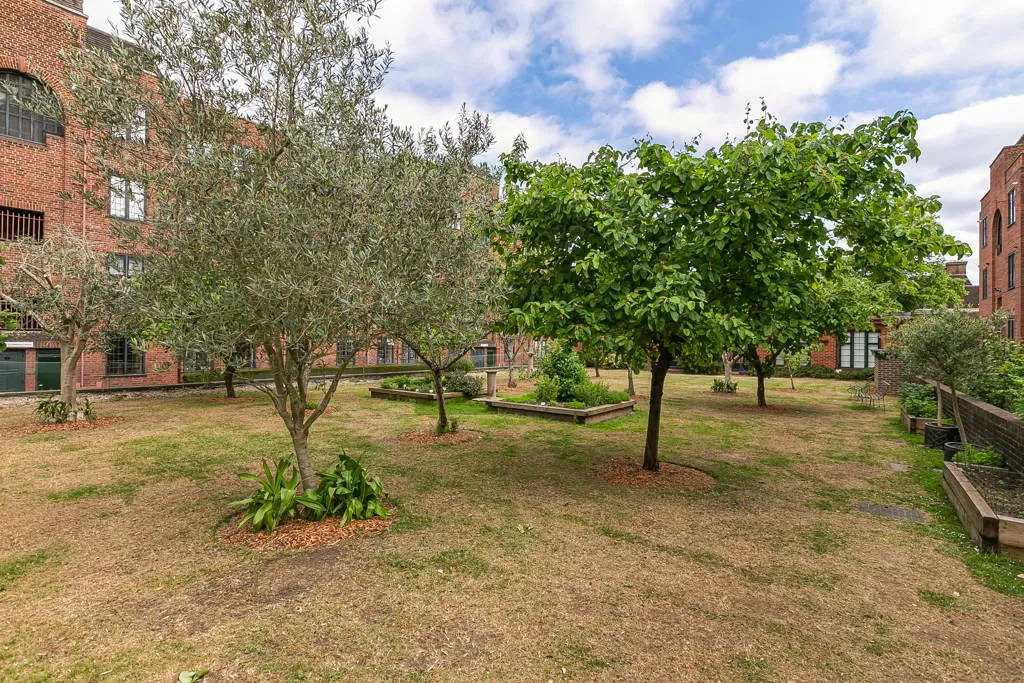 Manor Fields, London, SW15, photo 15