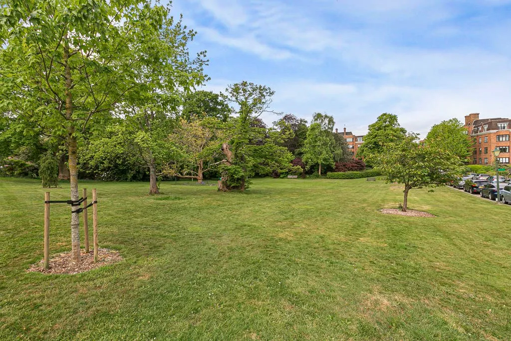 Manor Fields, London, SW15, photo 13