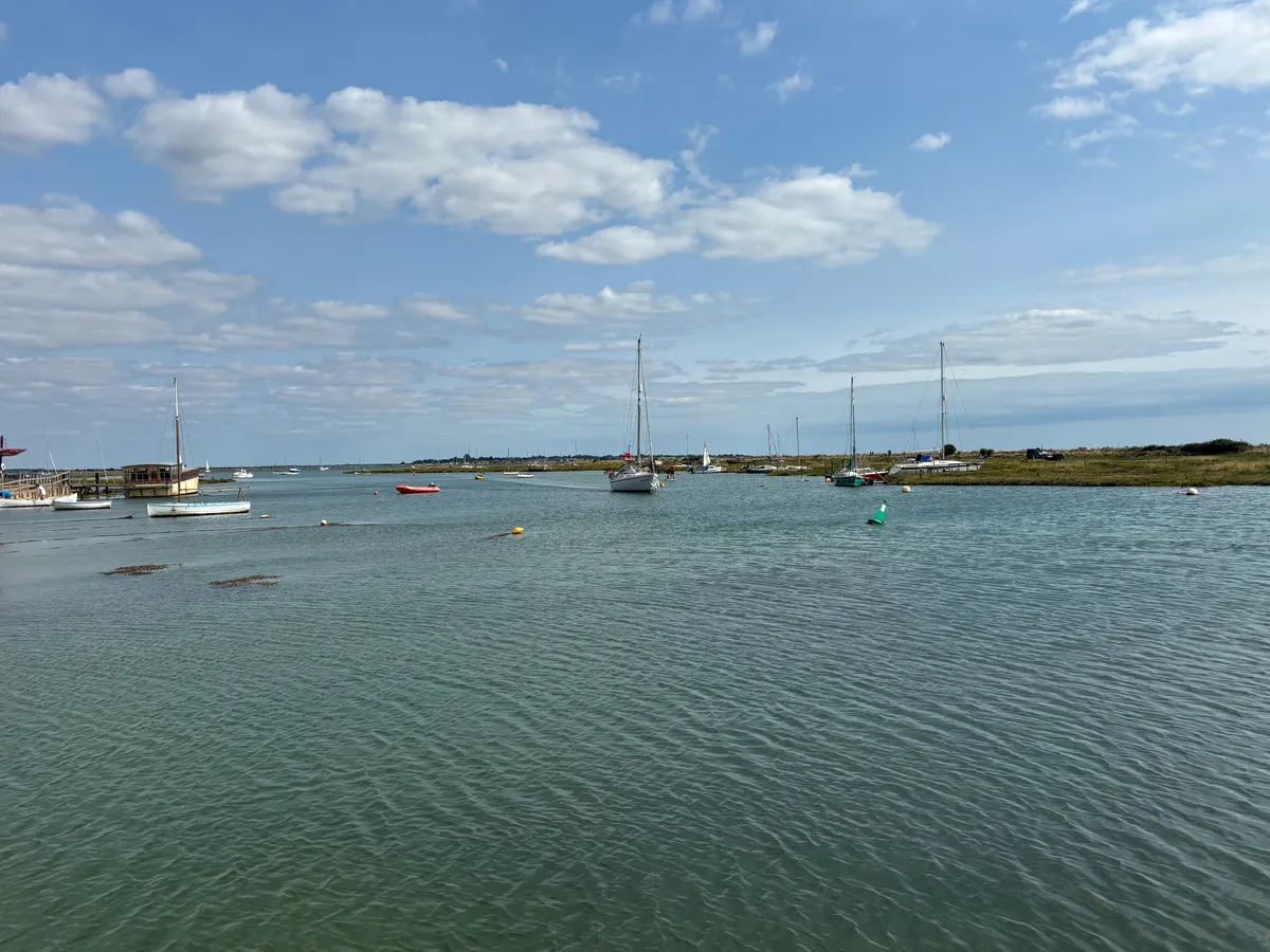 Woodrolfe Road, CM9, photo 14