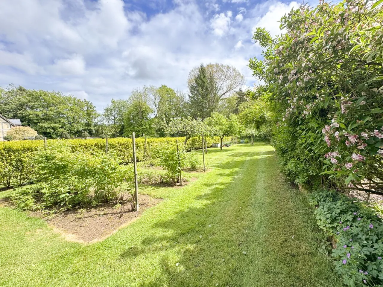 North Road, South Kilworth, LE17, photo 43