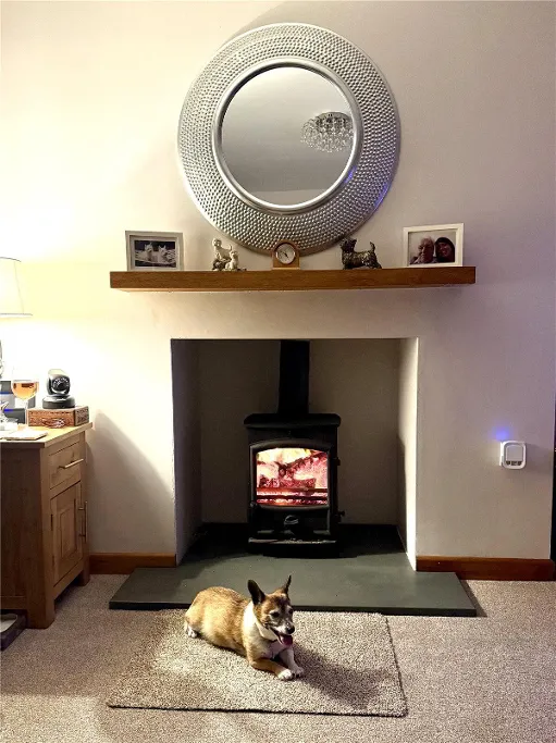 Berry, Shebbear, EX21, photo 10