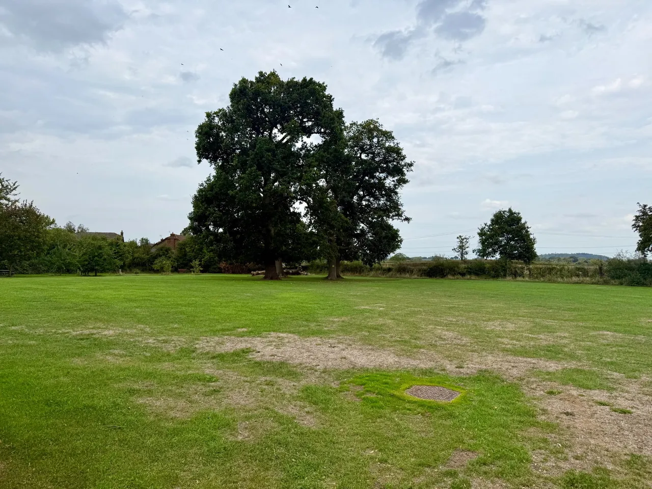 Muzzle Patch, Tibberton, GL2, photo 12