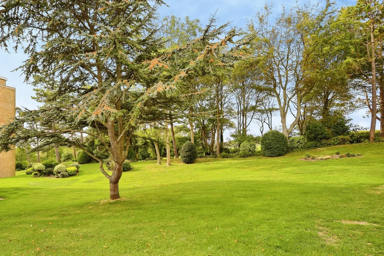 Compton Place Road, Eastbourne, BN21, photo 13