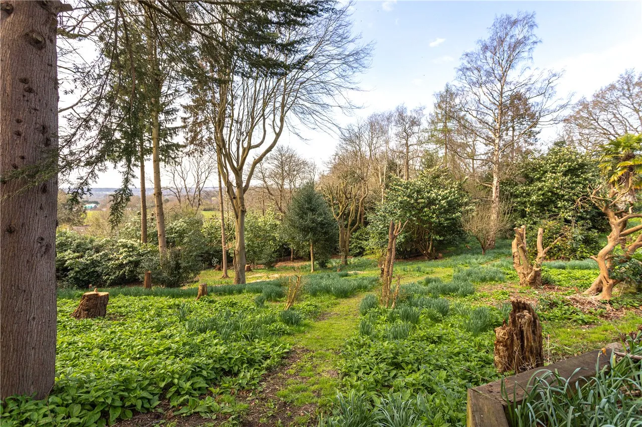 Jubilee Road, Finchampstead, Wokingham, Berkshire, RG40, photo 7