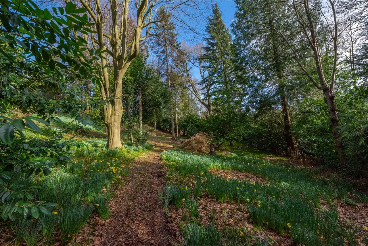 Jubilee Road, Finchampstead, Wokingham, Berkshire, RG40, photo 3