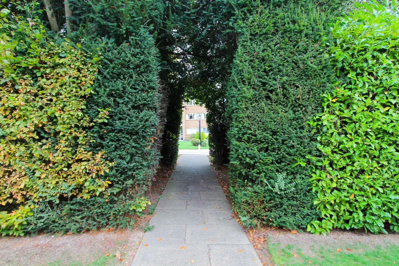 Flat 14, Beechcroft Court Four Oaks Road, Sutton Coldfield, Sutton Coldfield, B74 2XR, photo 25