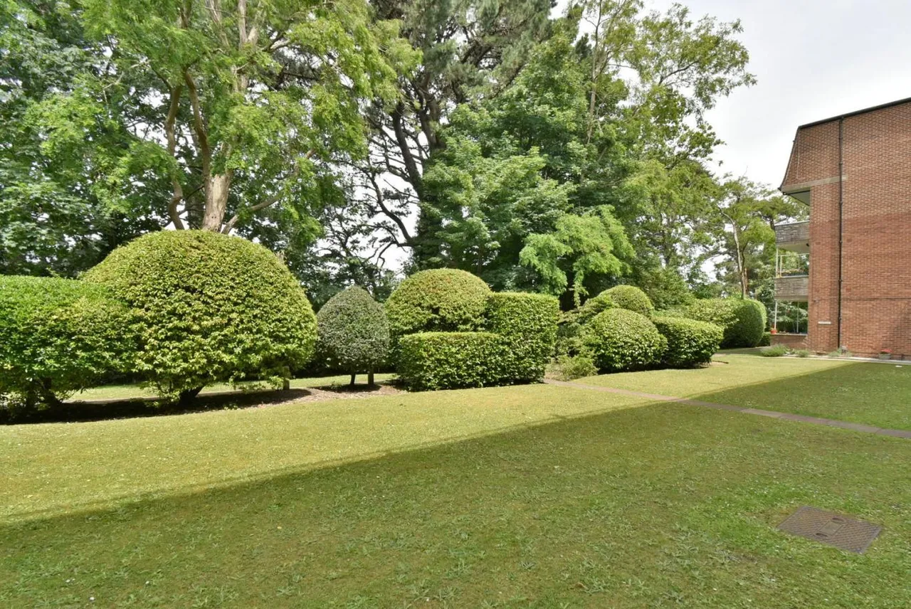 Wistaria House, BH10, photo 12