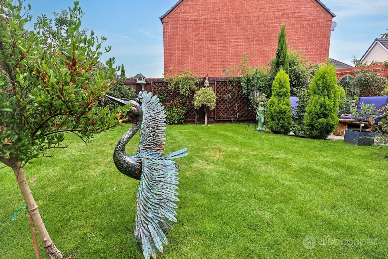 Reapers Close, Weddington, CV10, photo 34
