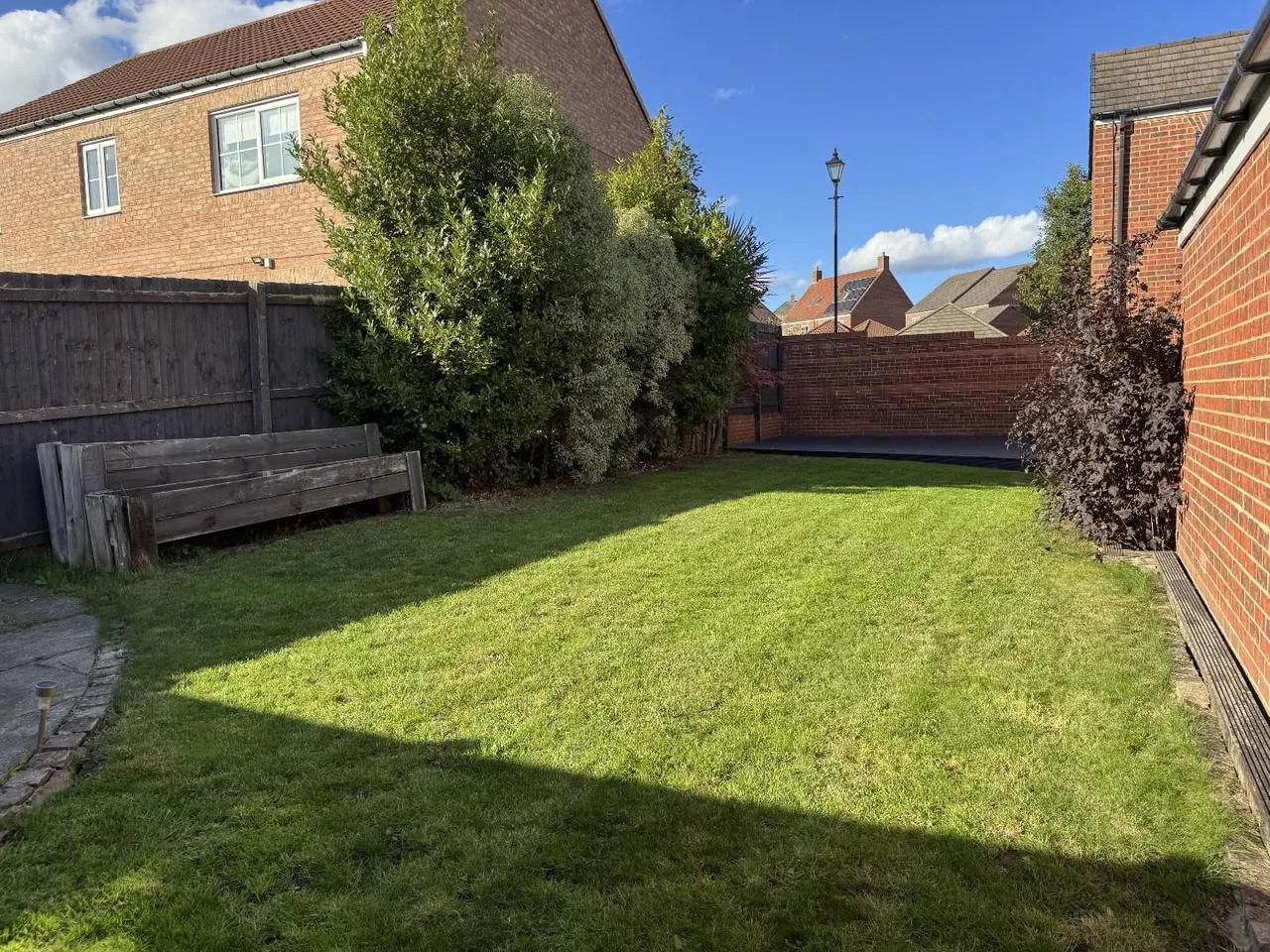 Buttercup Avenue, Wynyard, TS22, photo 20