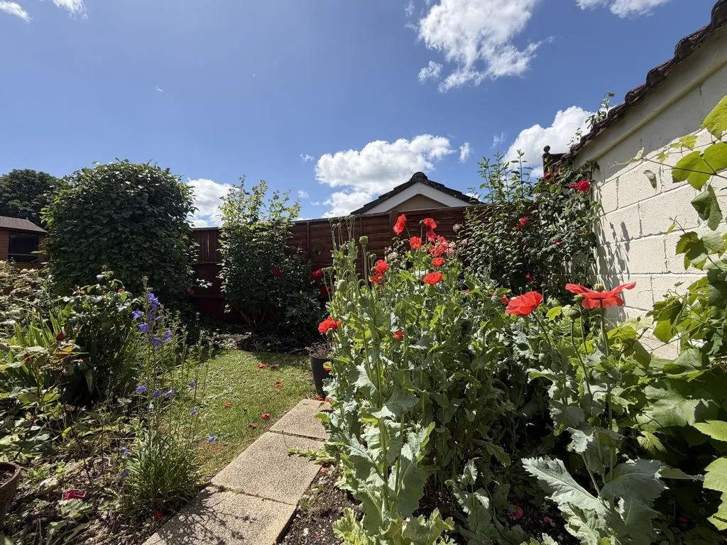 Sarum Way, Calne, photo 11