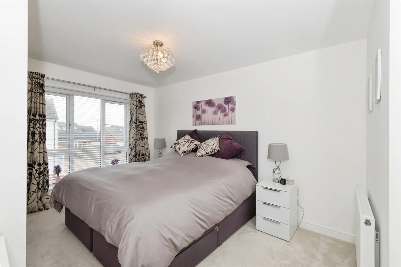 Forest Avenue, Hartlepool, TS24, photo 4