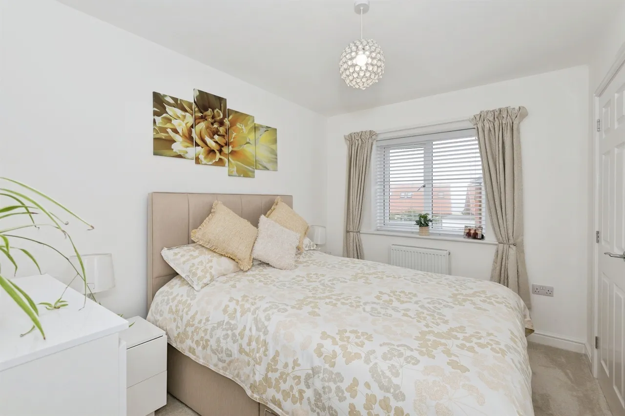 Forest Avenue, Hartlepool, TS24, photo 13