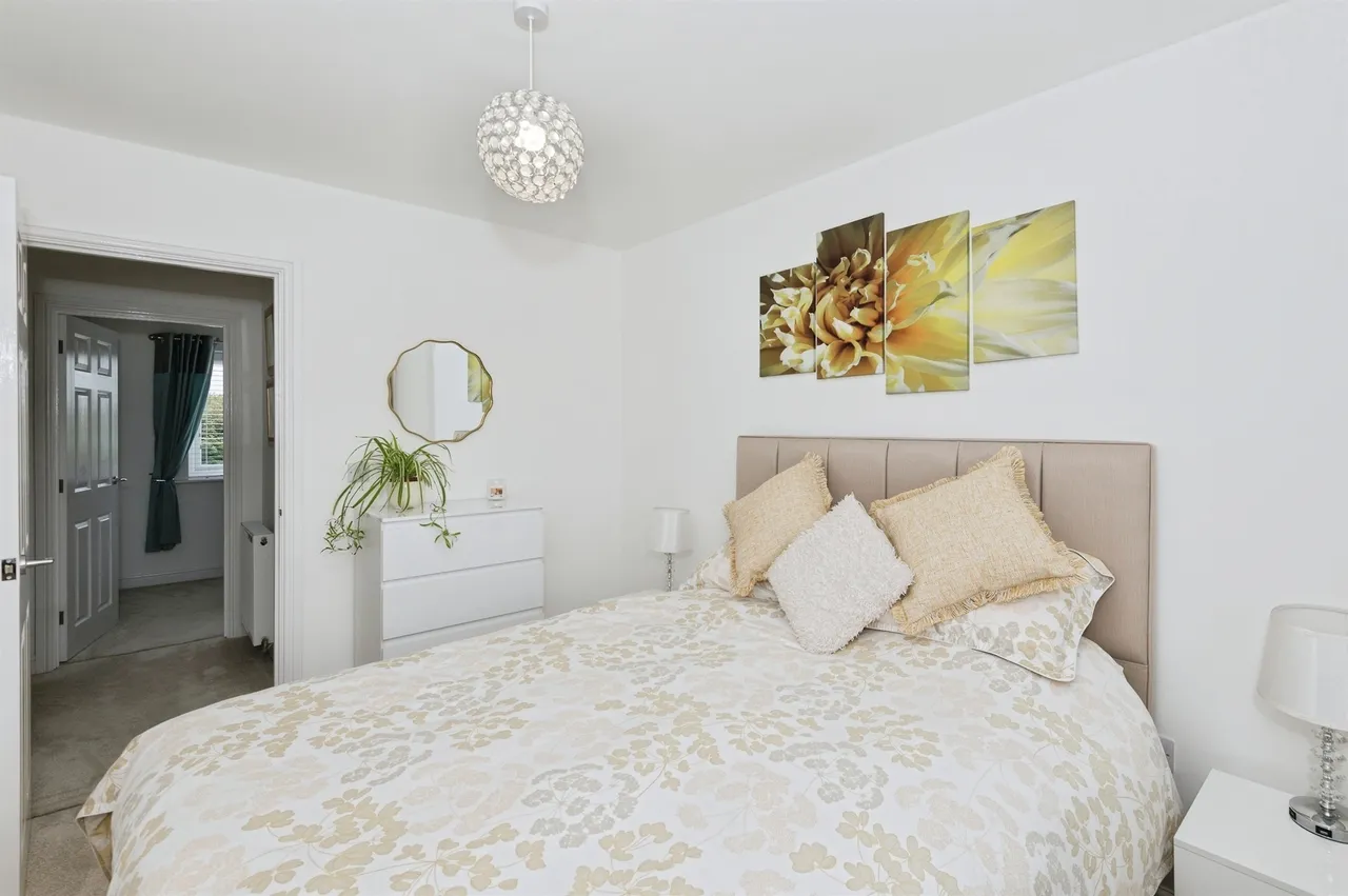 Forest Avenue, Hartlepool, TS24, photo 14