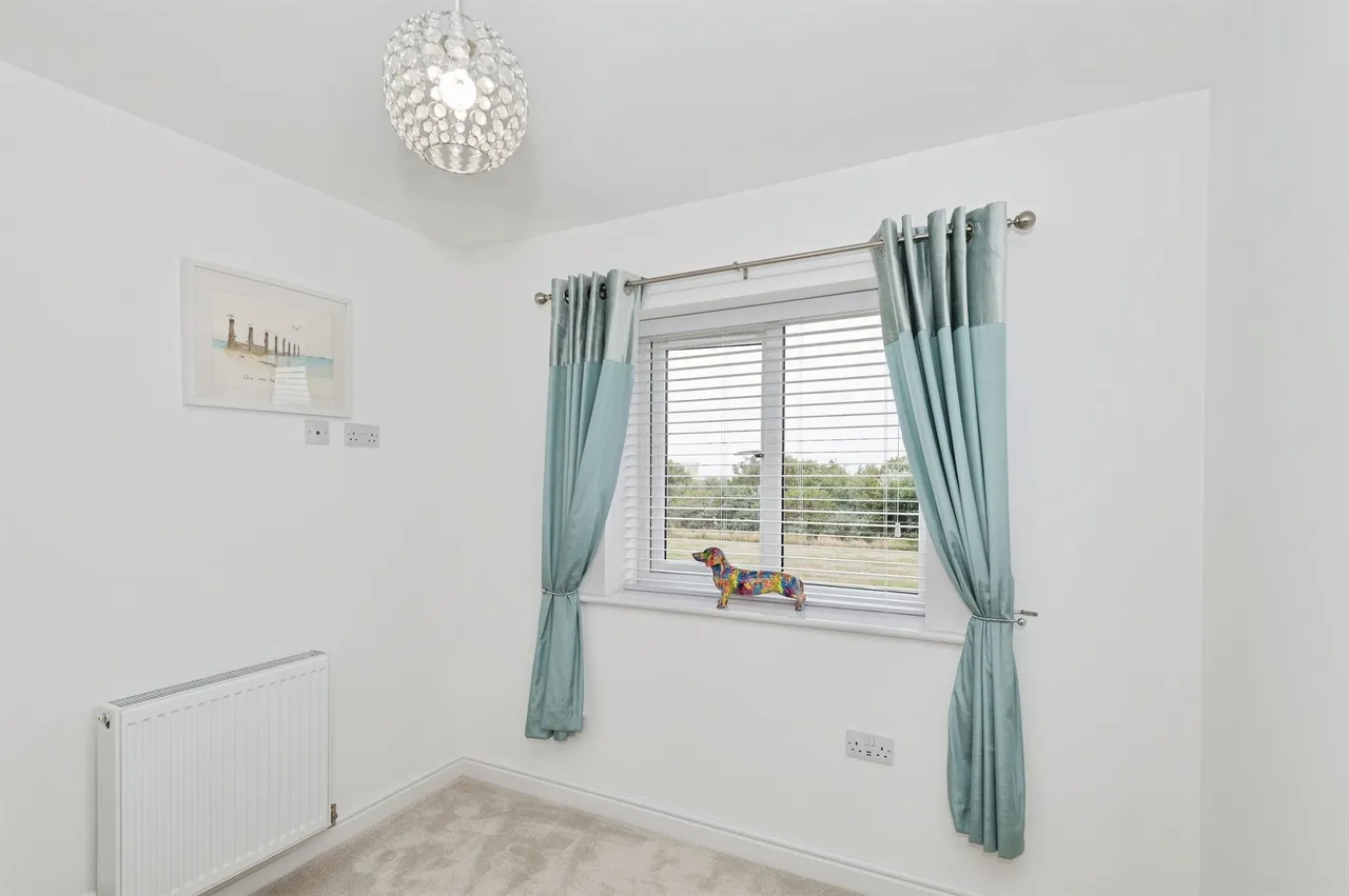 Forest Avenue, Hartlepool, TS24, photo 12