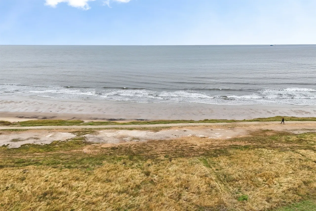 Forest Avenue, Hartlepool, TS24, photo 33