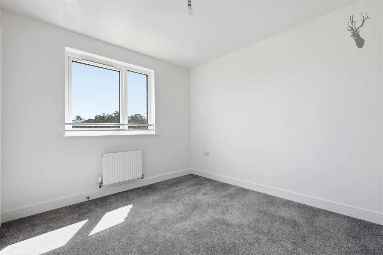 Bishop's Stortford, CM23, photo 6