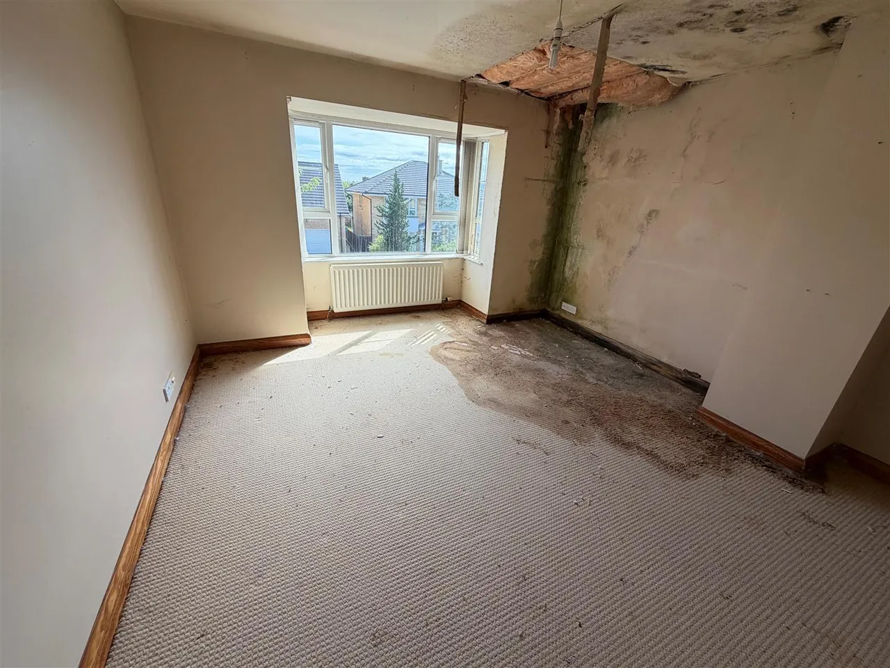Hanover Hill, Bangor, BT19, photo 12