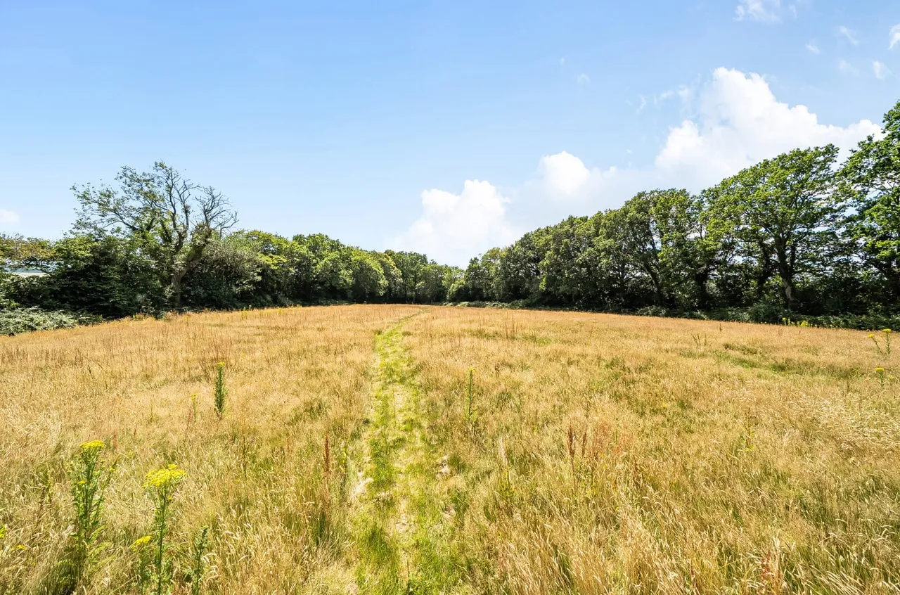 Woodmans Green Road, Whatlington, TN33, photo 18