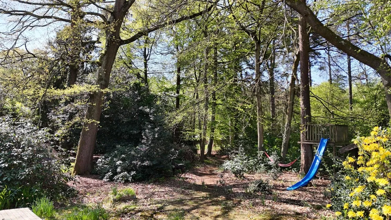 Gardeners Lane, East Wellow, Romsey, Hampshire, SO51 6AD, photo 17