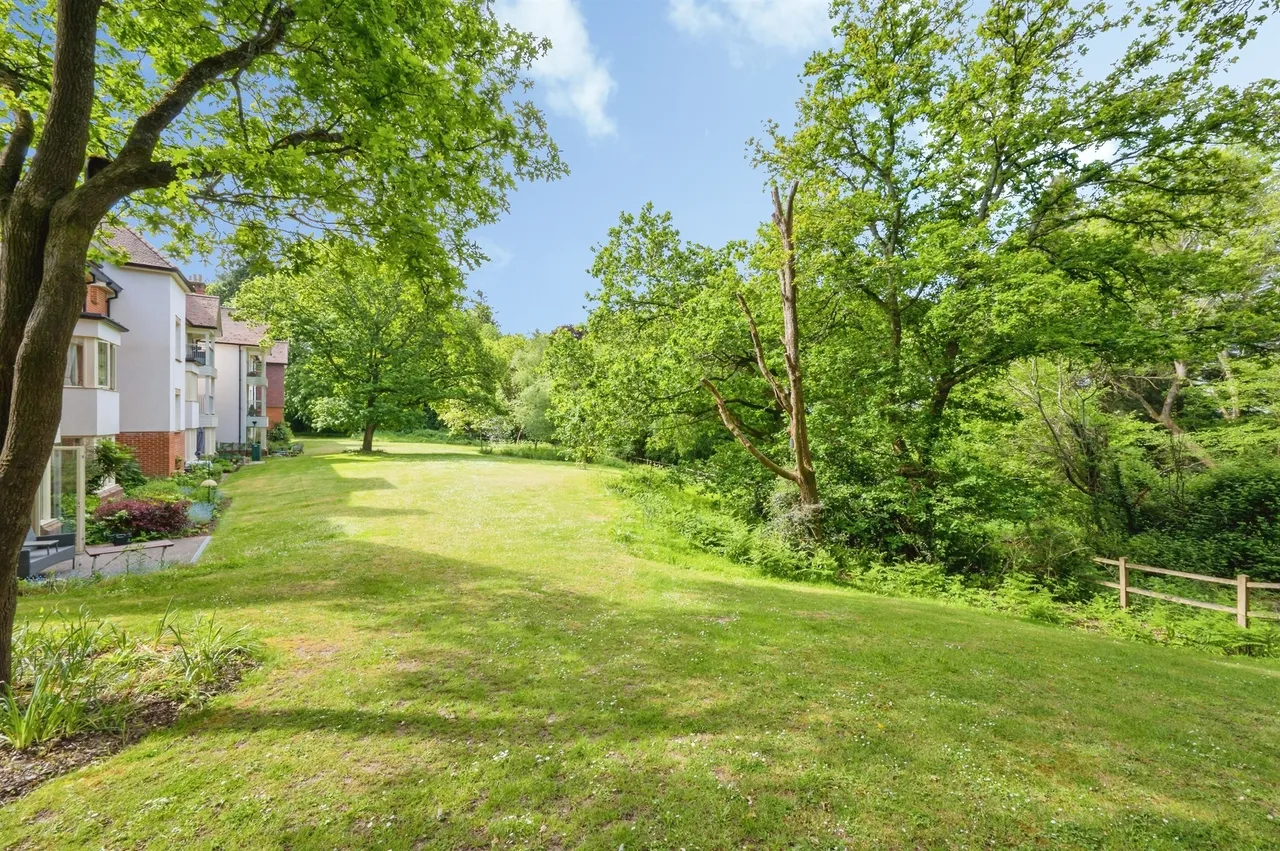 Walter Lane, Eastleigh, SO50, photo 15