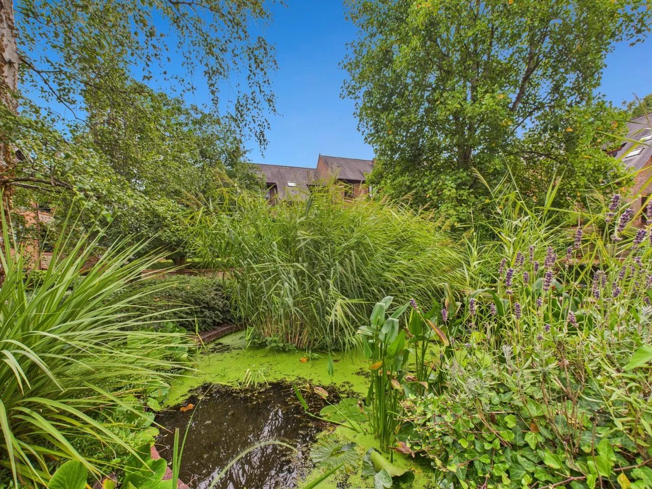 High Wycombe, Buckinghamshire, photo 23