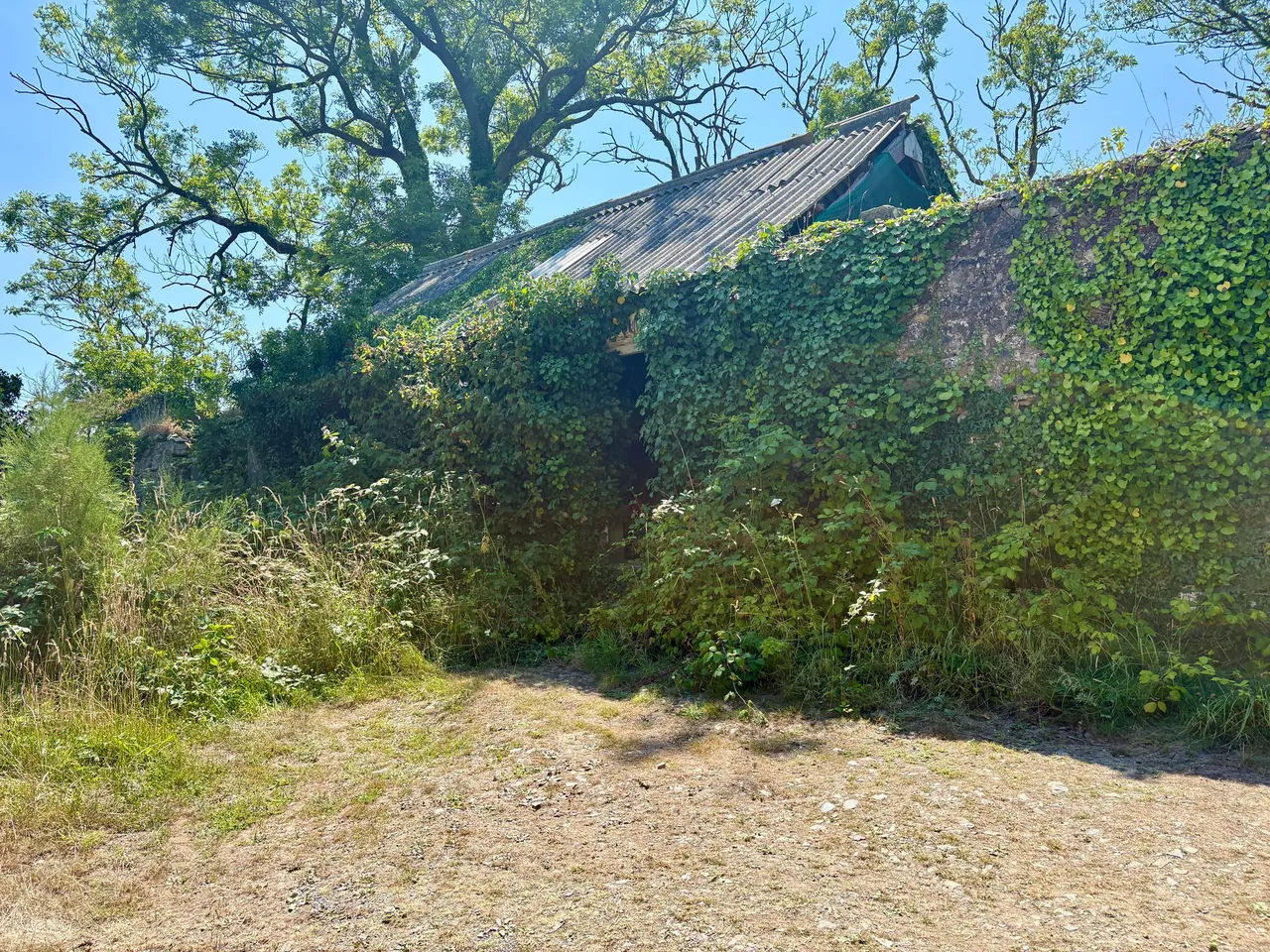 Dwrbach, Fishguard, SA65, photo 24