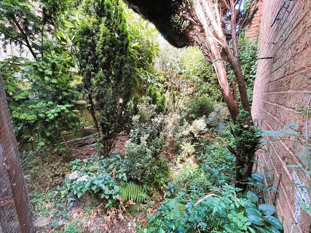 Queen Street, Walsall Wood, WS9, photo 14