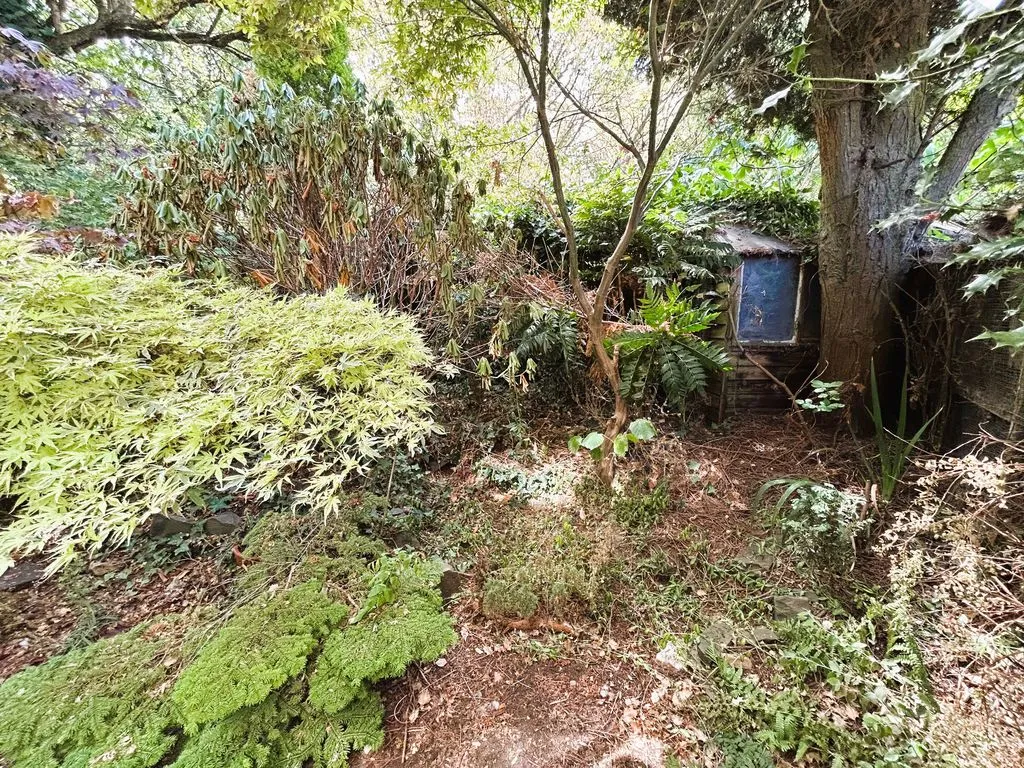 Queen Street, Walsall Wood, WS9, photo 13