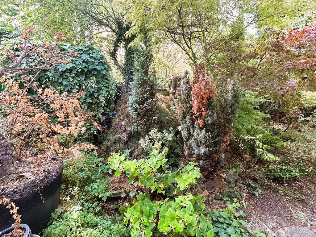 Queen Street, Walsall Wood, WS9, photo 10