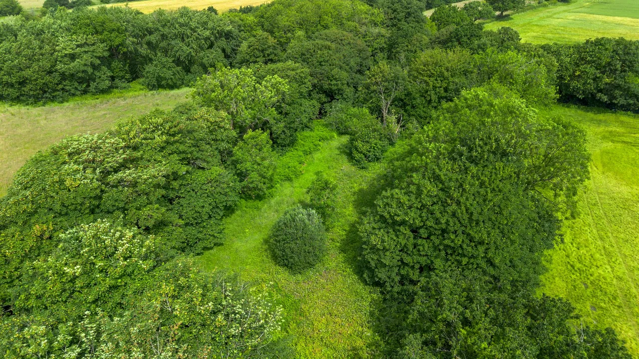 Lowton Gardens, Lowton, Warrington, WA3 1PJ, photo 36