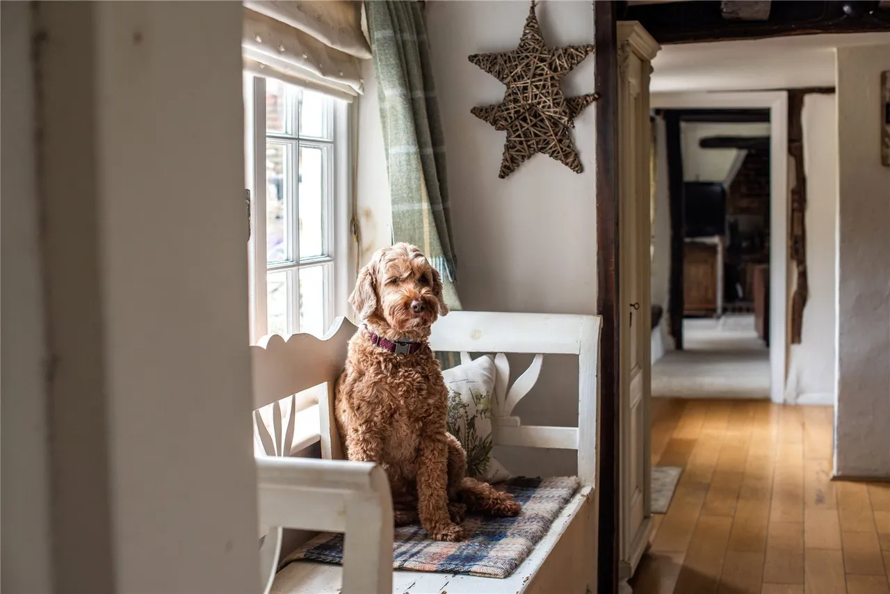 Parkgate Road, Newdigate, RH5, photo 19