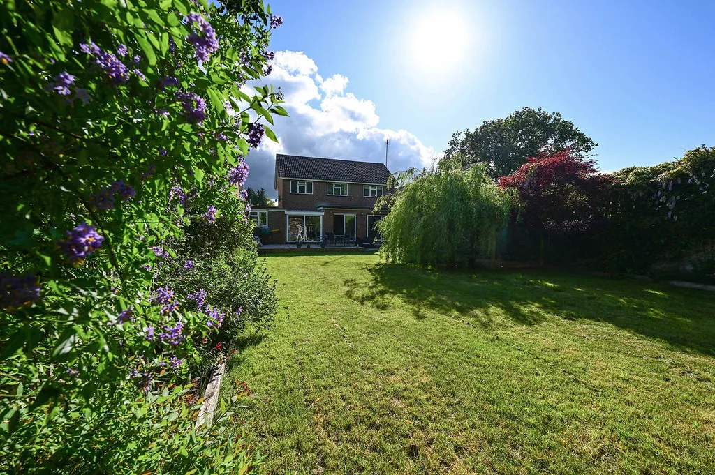 Ashbury Drive, Blackwater, GU17, photo 5