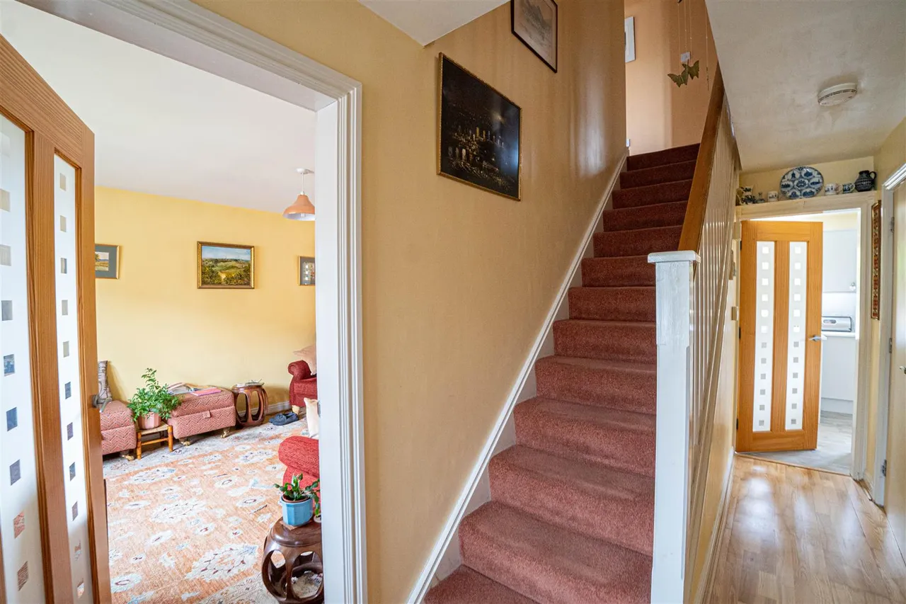 Wittersham Rise, St Leonards-on-sea, photo 19