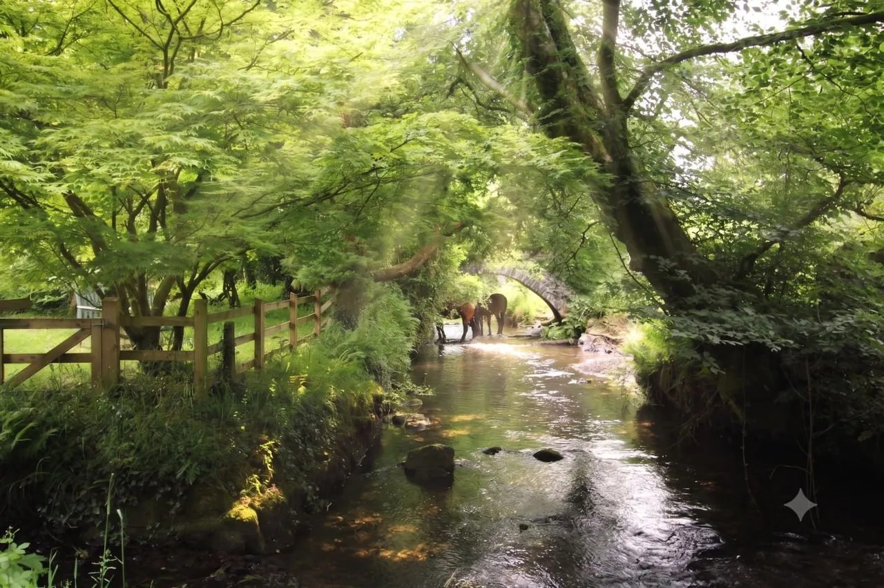 Heasley Mill, South Molton, EX36, photo 18