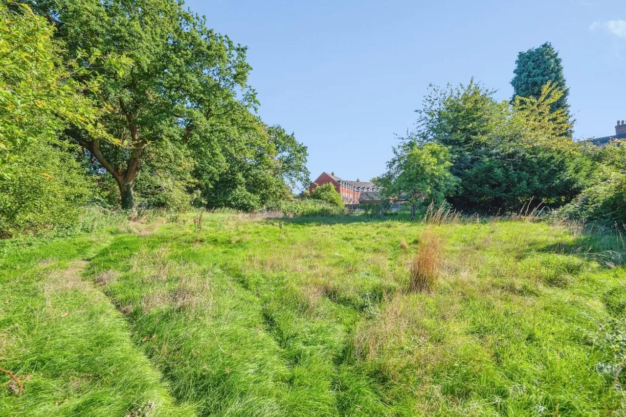 Watling Street, Wilnecote, B77, photo 27
