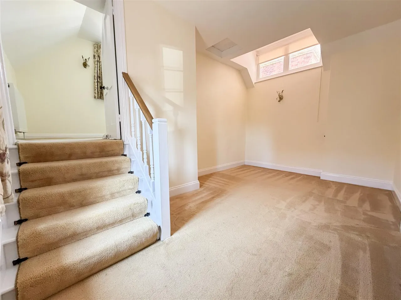 Buxton Road, Eastbourne, BN20 7LF, photo 15