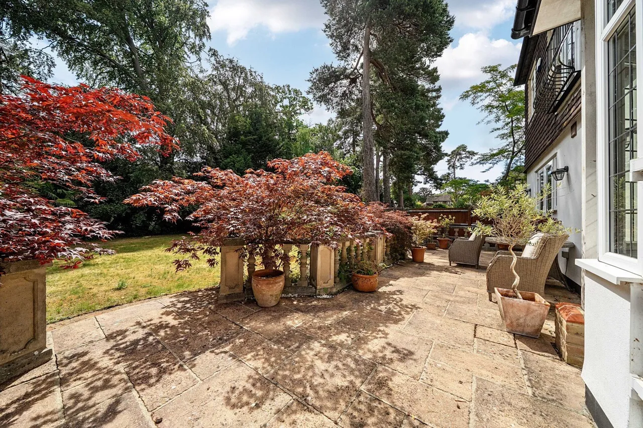 Longdon Wood, BR2, photo 29