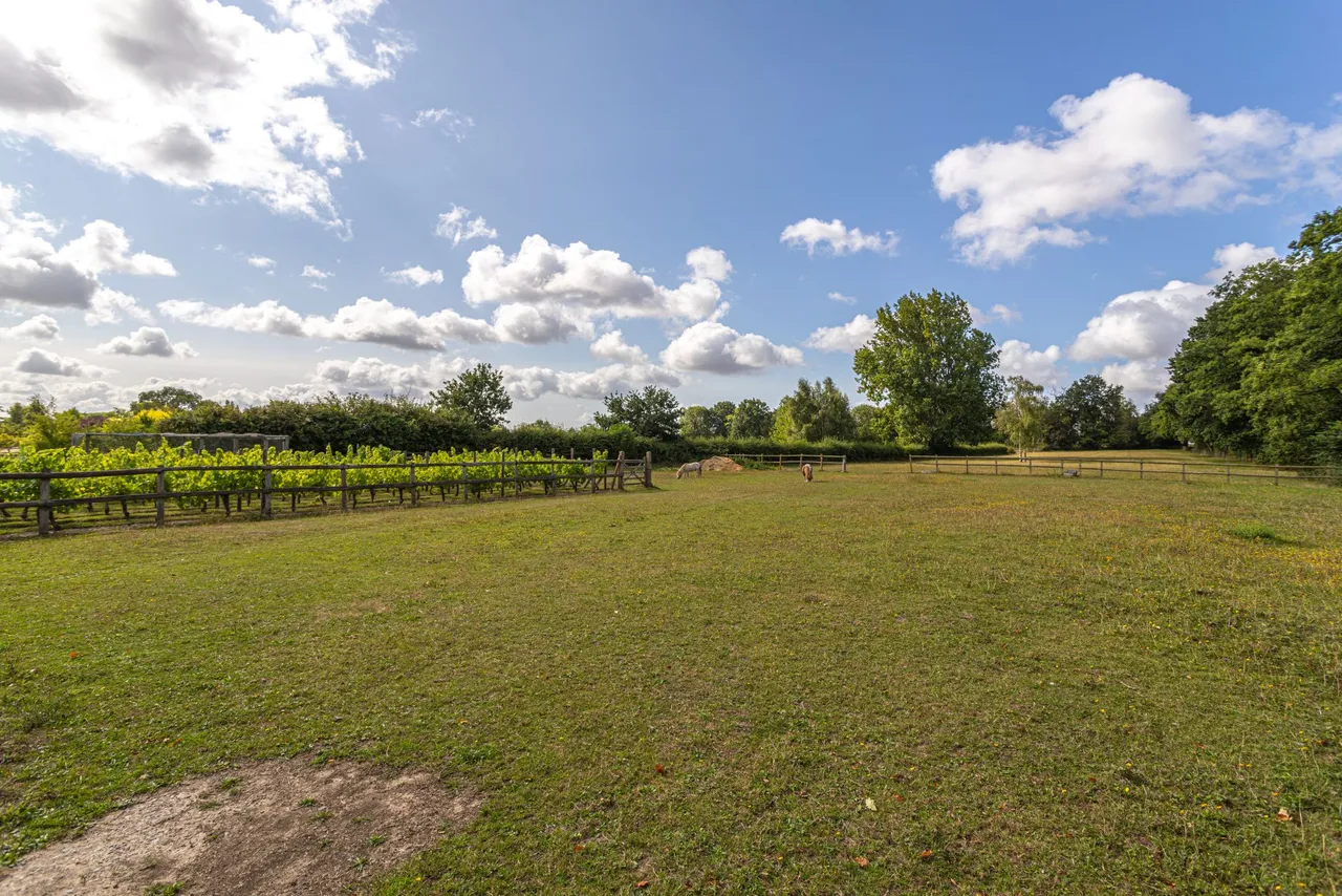 Paddocks & Stable, Chatter Alley, Dogmersfield, RG27 8SS, photo 4