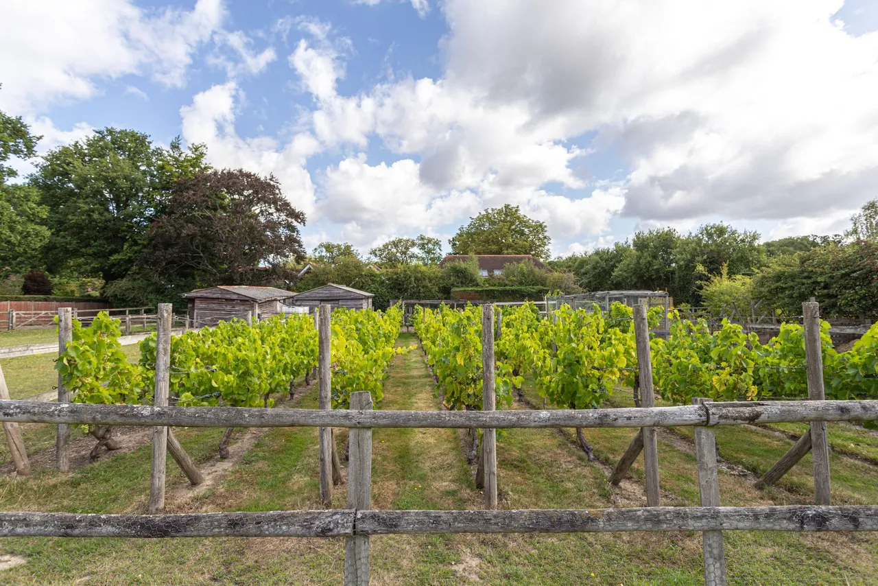 Paddocks & Stable, Chatter Alley, Dogmersfield, RG27 8SS, photo 6