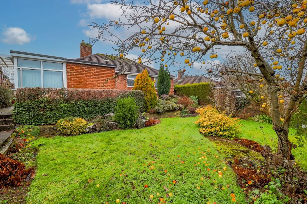 Langer Lane, Wingerworth, S42, photo 4