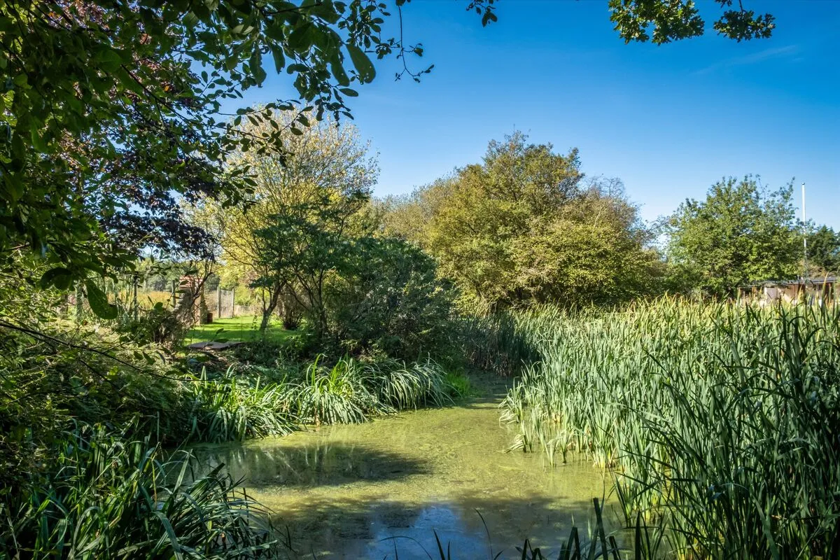 Broadford Bridge, Billingshurst, RH14, photo 33