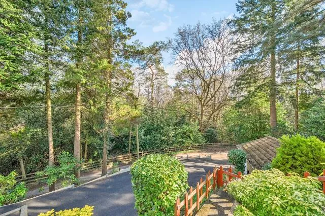 High View Road, Lightwater, GU18, photo 17
