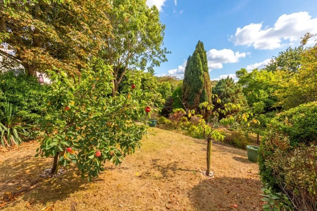 Knole Lane, Bristol, BS10, photo 28