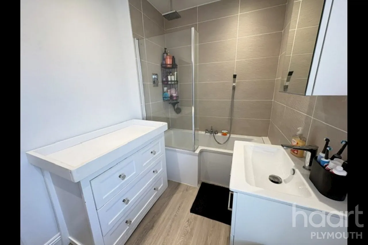 Bickham Park Road, Plymouth, PL3, photo 12