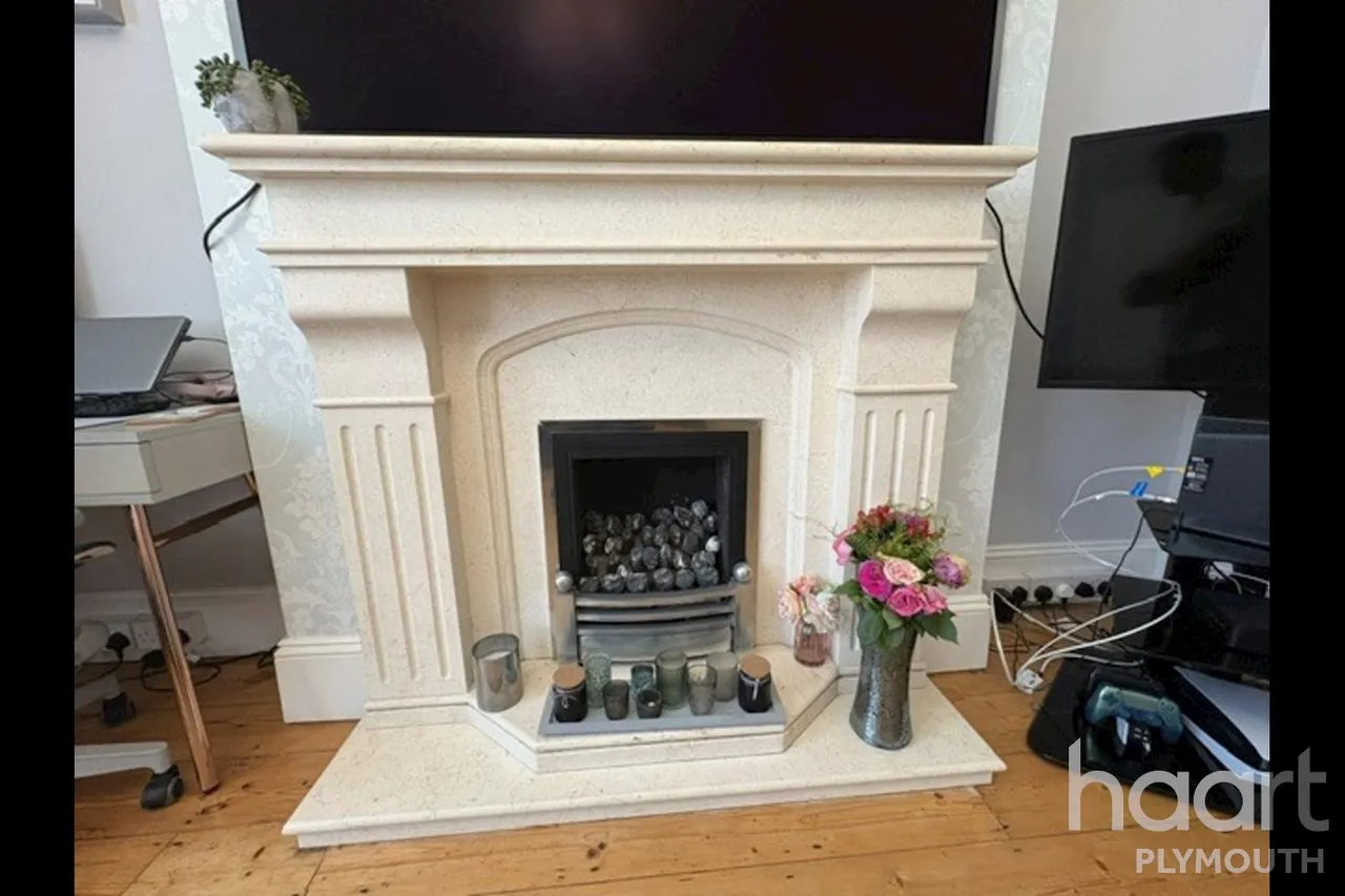 Bickham Park Road, Plymouth, PL3, photo 19
