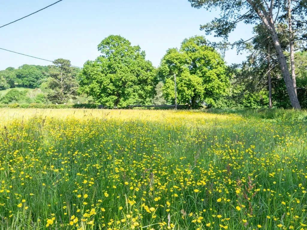 Silverhill, Robertsbridge, TN32, photo 13