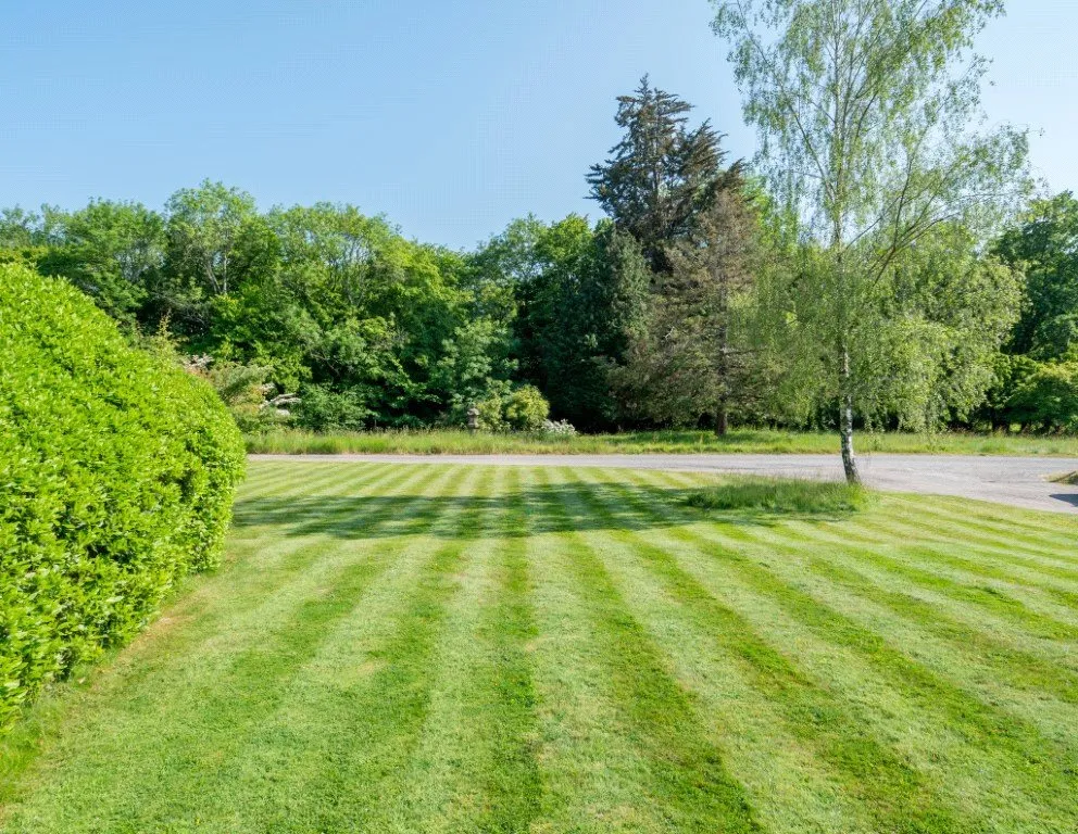 Silverhill, Robertsbridge, TN32, photo 12