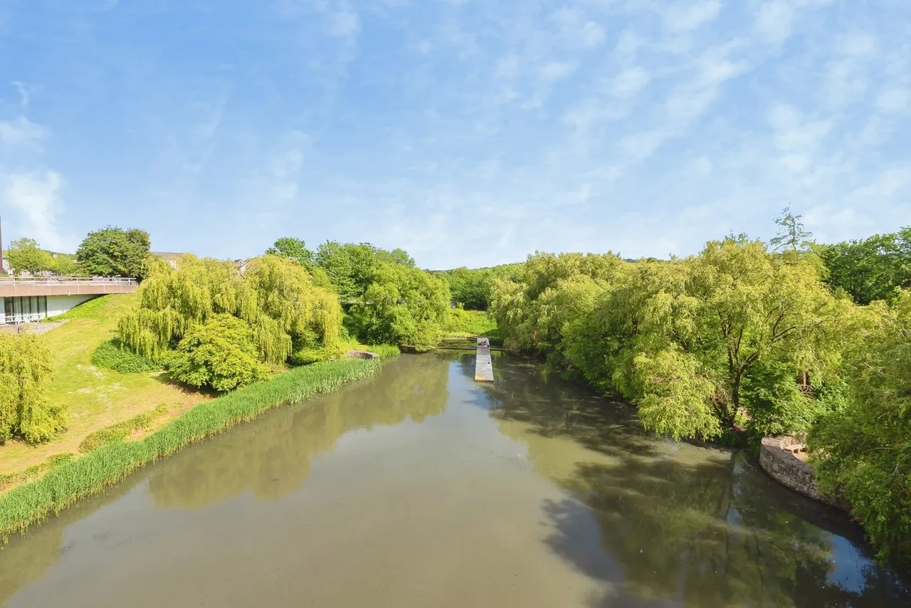 Lake Shore Drive, Bristol, Somerset, BS13, photo 7