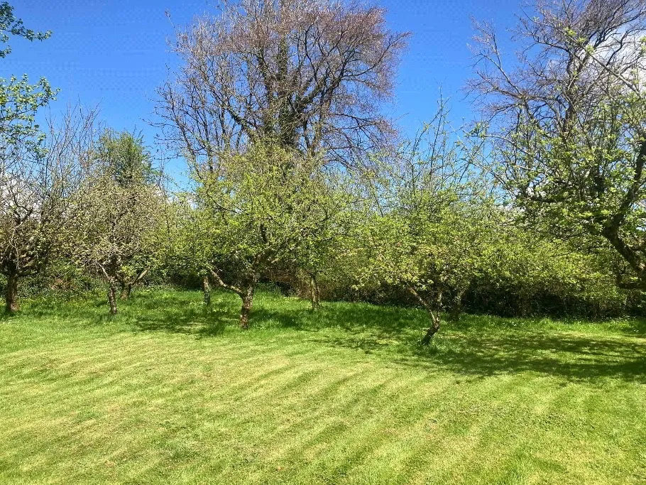 Buckland Filleigh, Beaworthy, EX21, photo 29